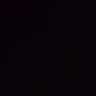 Ternera Con Bambú Y Setas China