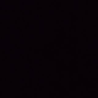 Cerdo Con Pimientos Verdes