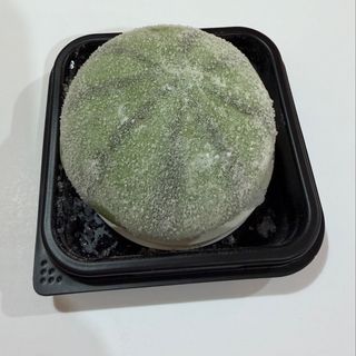 Mochi de sandía