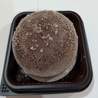 Mochi de tiramisú