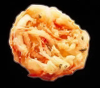 Kakiage Con Gambas (2 Uds.)