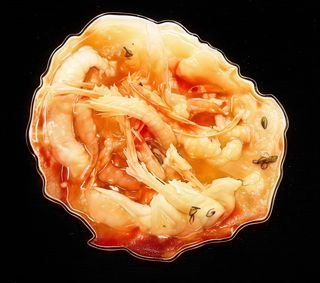 Kakiage Con Gambas (2 Uds.)