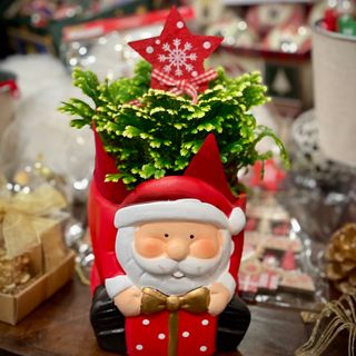 Macetero de Papá Noel con planta