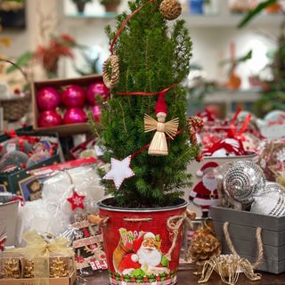 Árbolito Navidad con macetero de Papá Noel.