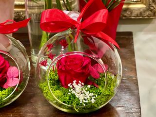 Rosa eterna en cúpula de cristal