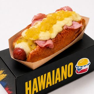 Perrito Hawaiano XL