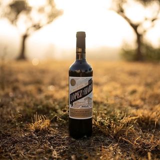 Vino Tinto Hacienda López de Haro Rioja Crianza