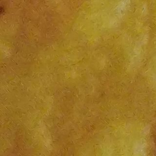 Sabzi Korma (leche de coco