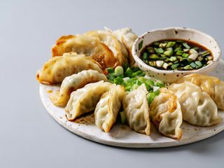 Gyozas variado 16u