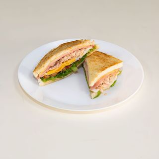 Sandwich Especial