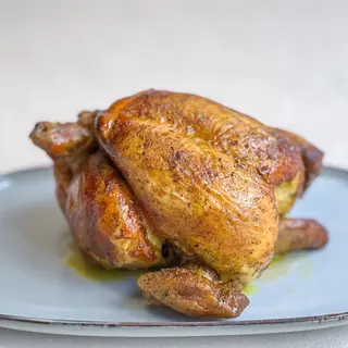 Pollo