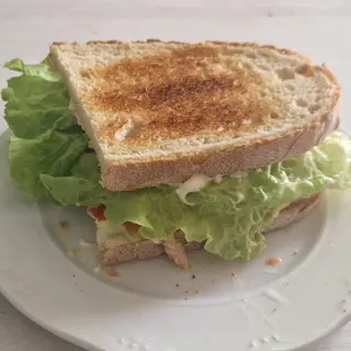Sándwich vegetas