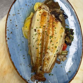 Dorada (500 G.)