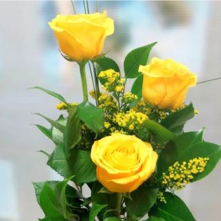 3 rosas amarillas