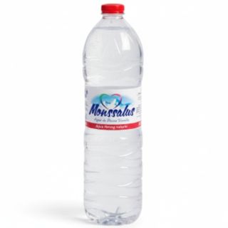 Agua (500 Ml.)