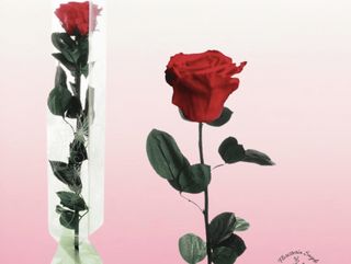 Rosa roja eterna (grande)