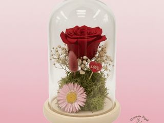 Rosa Preservada en Cúpula de Cristal Especial San Valetín / Sin luces LED