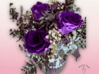 RAMO PRESERVADO DE ROSAS VIOLETA