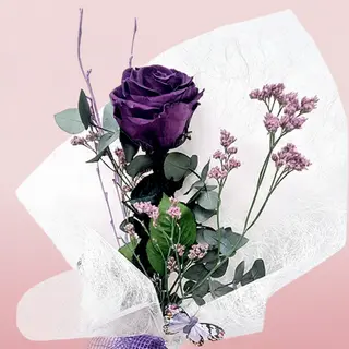 Rosa violeta