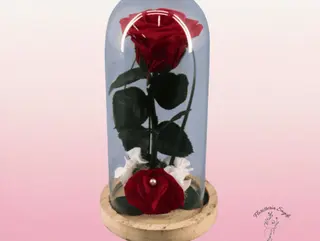 Rosa preservada en cúpula