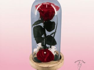 Rosa preservada en cúpula