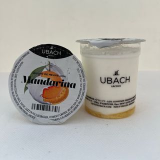 Iogurt natural amb melmelada de mandarina