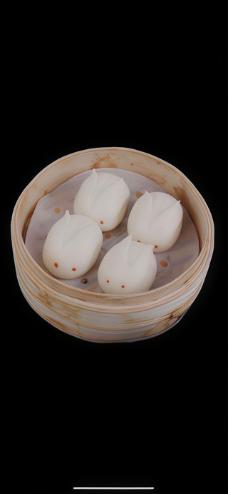 203.YUTU BAO 2U