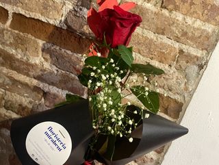 Rosa de Sant Valentí