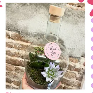 Terrari