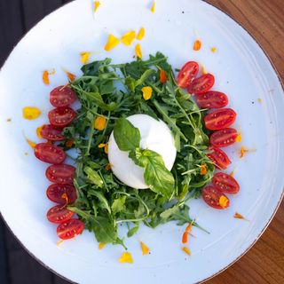 Burrata Dop