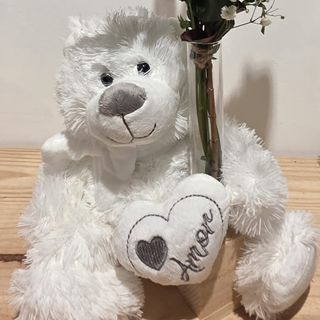 PELUCHE PEQUEÑO DE 25CM +PROBETA CON 1 ROSA ROJA