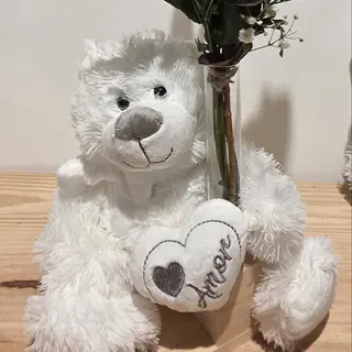 PELUCHE GRANDE DE 40CM +PROBETA DE CRISTAL  CON 1 ROSA ROJA