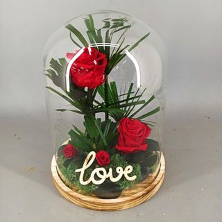 Cupula con rosa roja preservada pick love madera