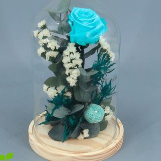 Cupula con rosa azul preservada