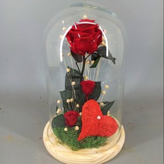 Cupula con rosa roja grande y 2 pequeñas preservada