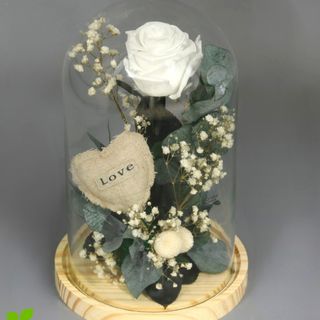 Cupula con rosa blanca preservada