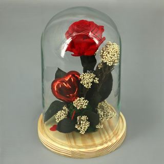 Cúpula con rosa roja preservada y globo