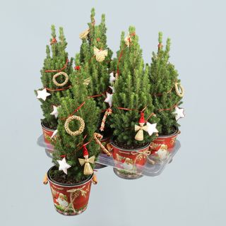 Arbol Navidad Decorado