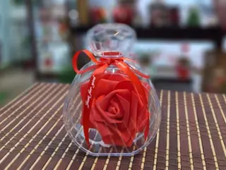 Rosa San Valentín