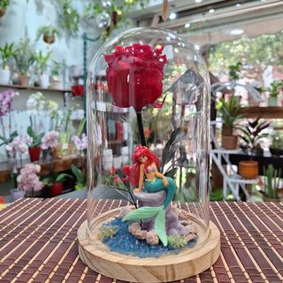 Cúpula Rosa Eterna Roja "Marinera"