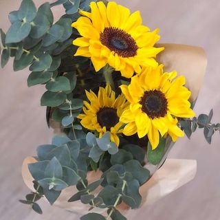 Trío Girasoles "Ronda"