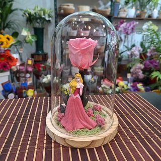 Cúpula Rosa Eterna Rosa "Durmiente"