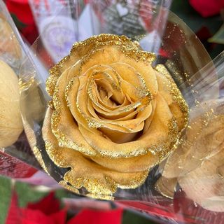 Rosa Dorada "Baltasar"