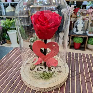 Cúpula Rosa Eterna Roja "Love"
