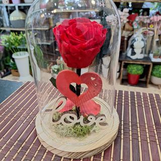 Cúpula Rosa Eterna Roja "Love"