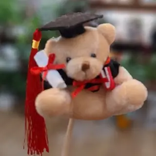 Mini osito "Graduación"