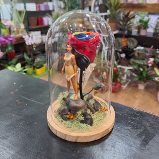 Cúpula Rosa Eterna Arcoiris "India"