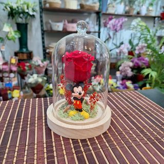 Cúpula Rosa Eterna Roja "Ratoncito"