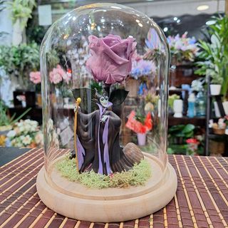 Cúpula Rosa Eterna Malva "Malísima"