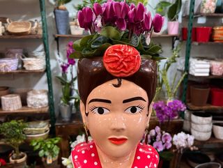 Flamenca con Ciclamen (color variado) "Malagueña Salerosa"